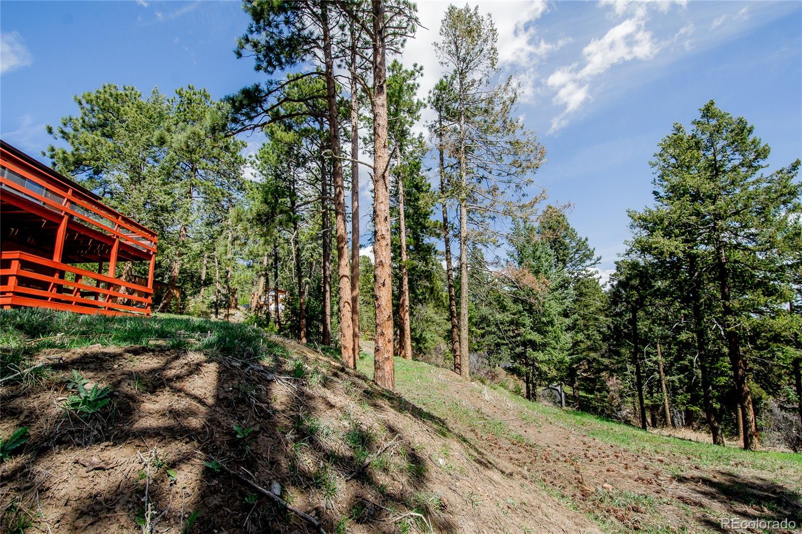 MLS Image #6 for 8624 s doubleheader ranch road,morrison, Colorado
