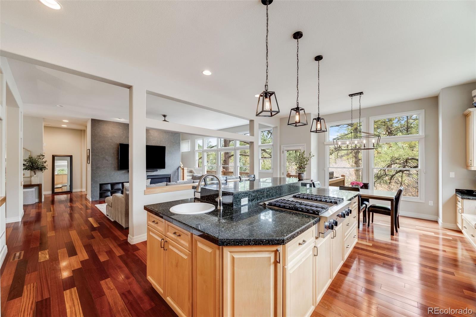 MLS Image #10 for 1221  havenwood way,castle pines, Colorado