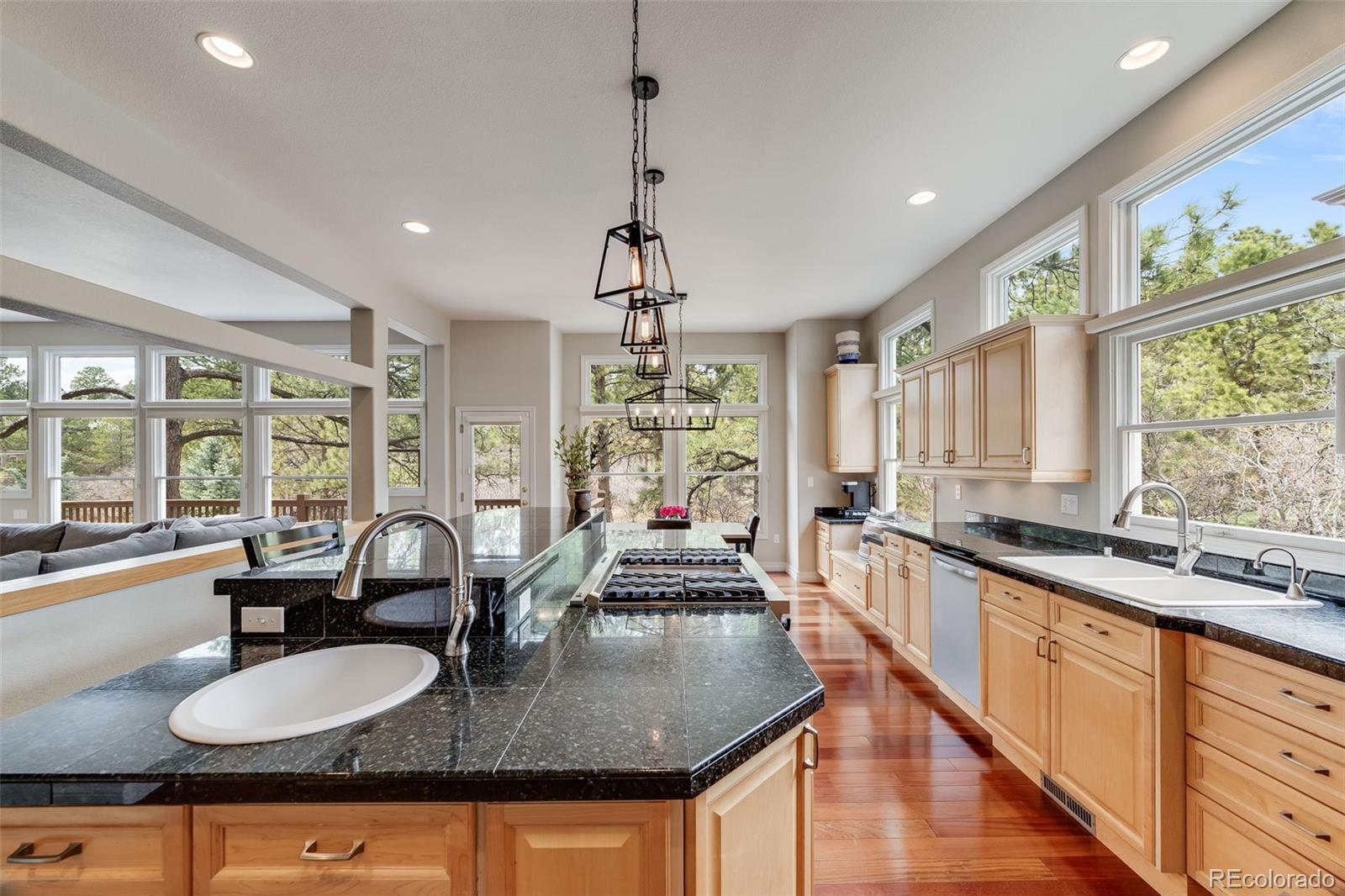 MLS Image #15 for 1221  havenwood way,castle pines, Colorado