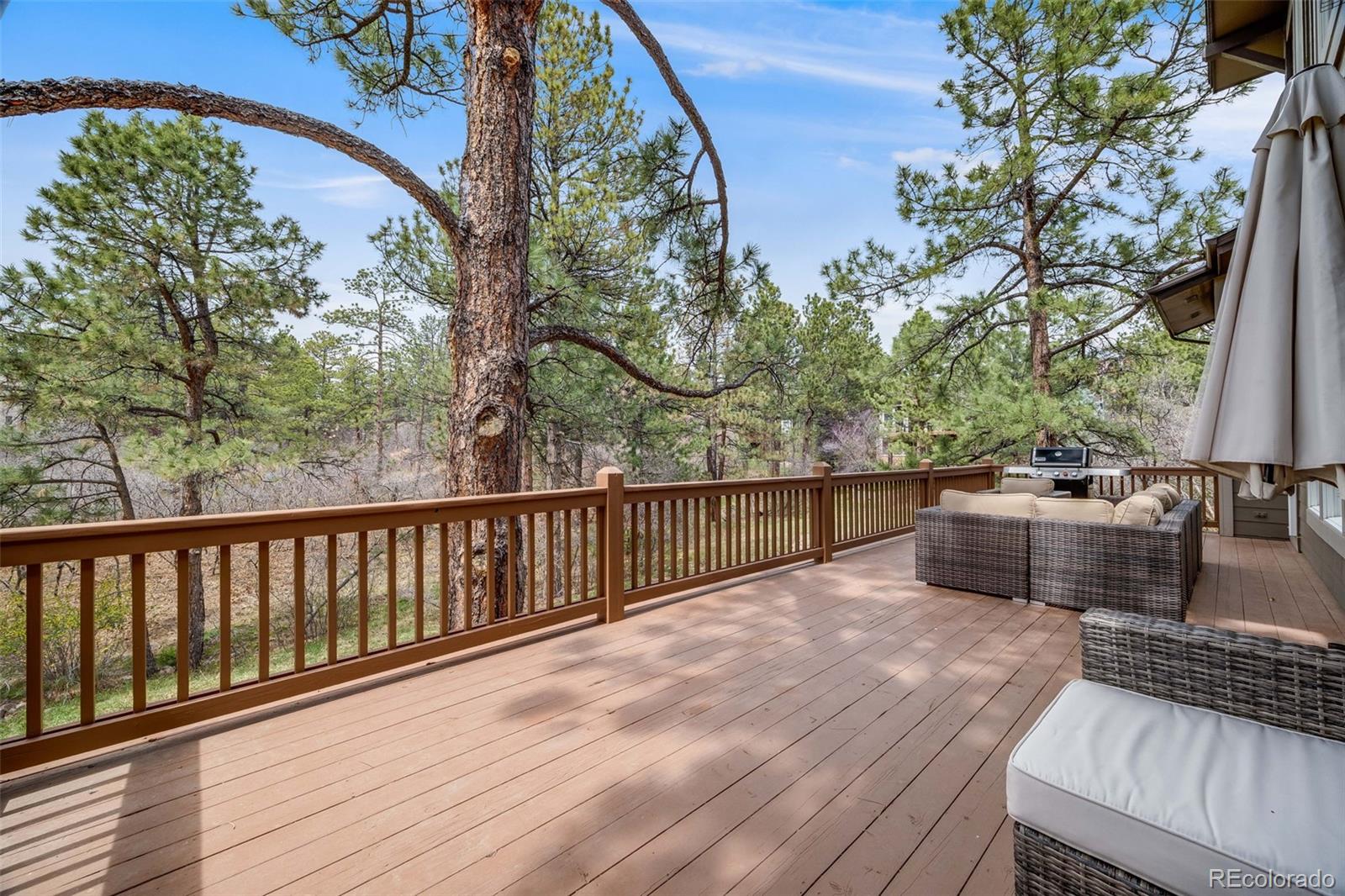 MLS Image #42 for 1221  havenwood way,castle pines, Colorado