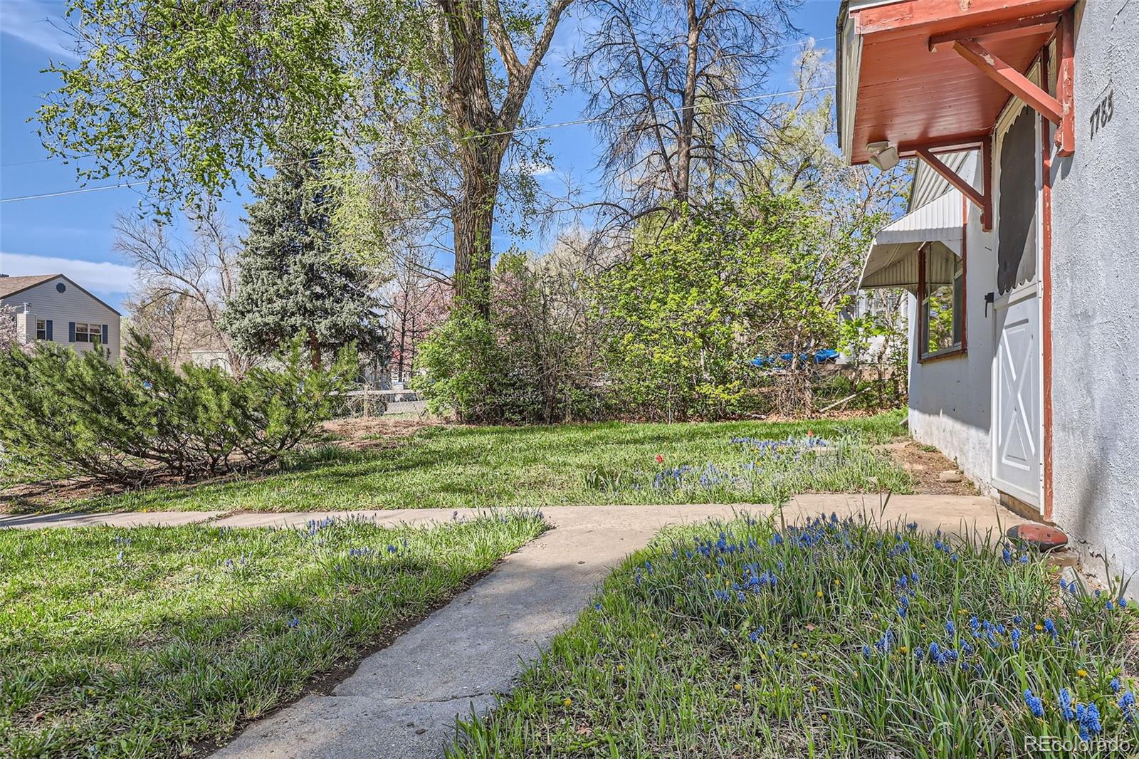 MLS Image #4 for 7785  westview drive,lakewood, Colorado