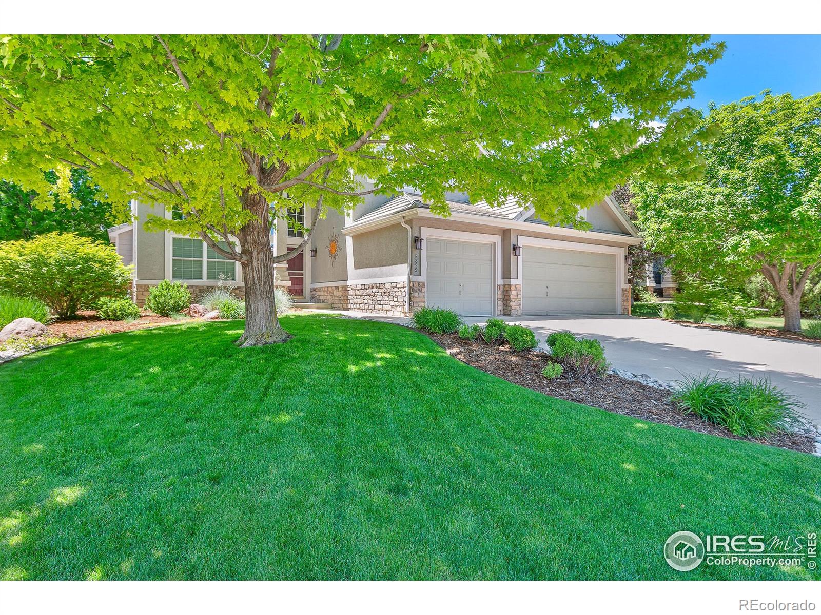 MLS Image #6 for 5859  huntington hills drive,fort collins, Colorado