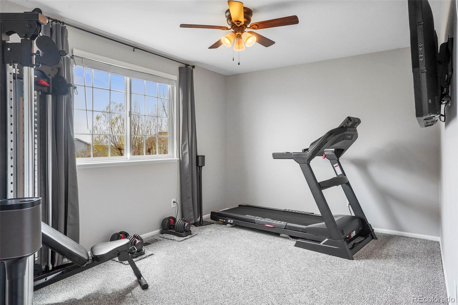 MLS Image #15 for 6464  elsinore drive,colorado springs, Colorado