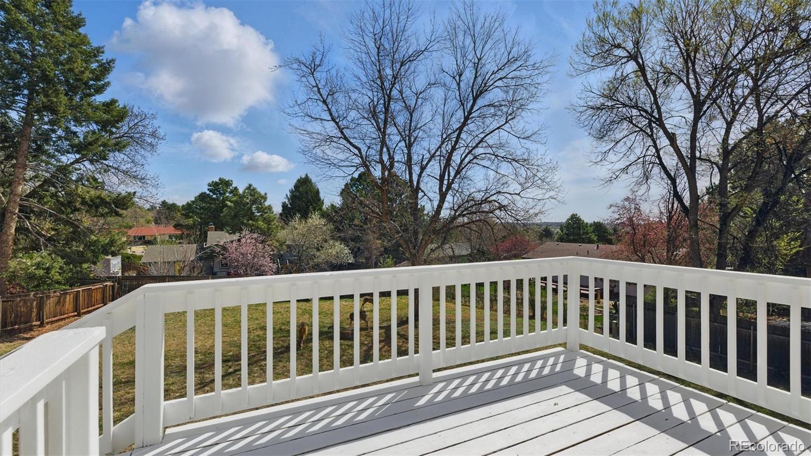 MLS Image #13 for 2607  penacho circle,colorado springs, Colorado