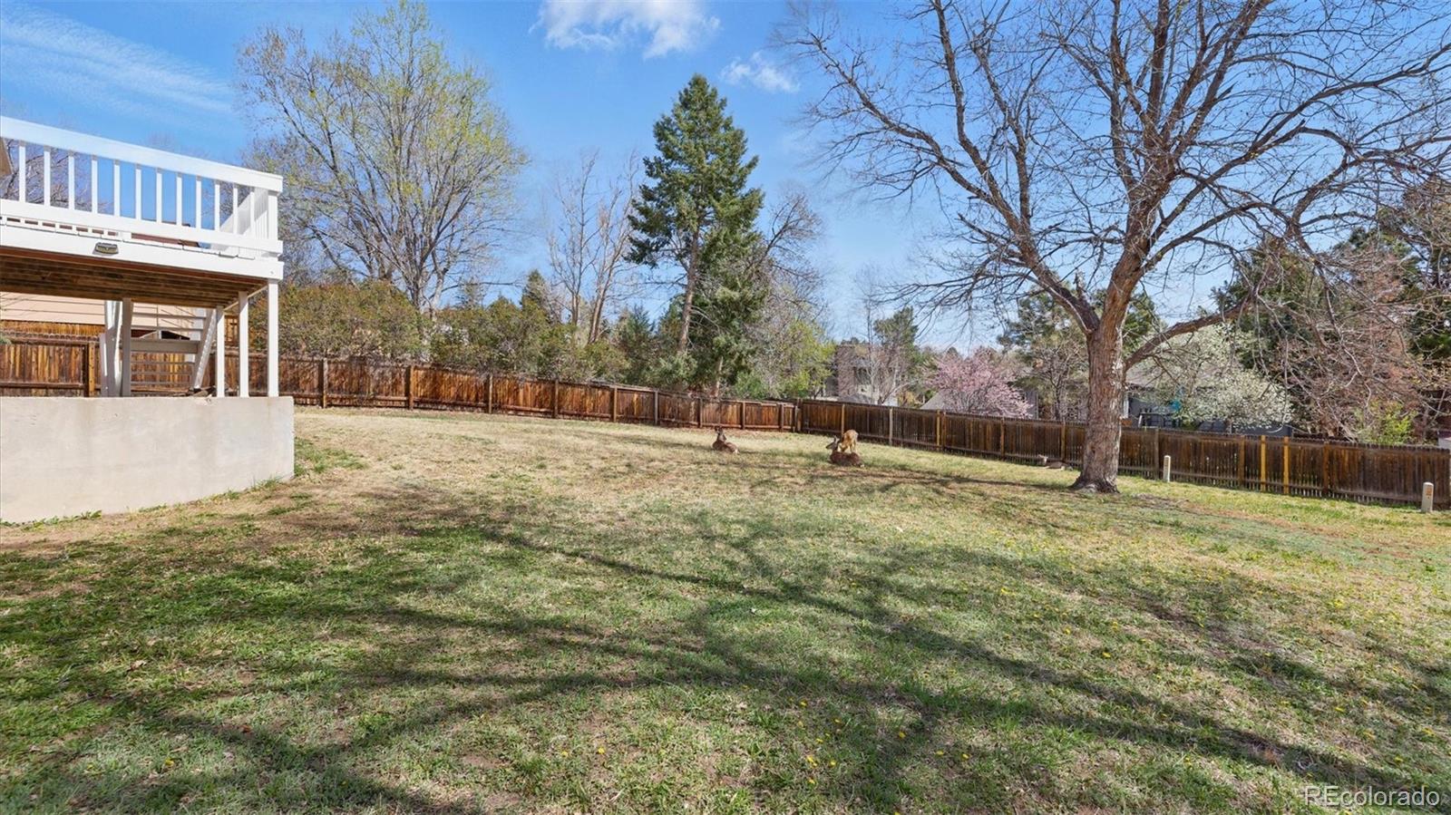 MLS Image #40 for 2607  penacho circle,colorado springs, Colorado
