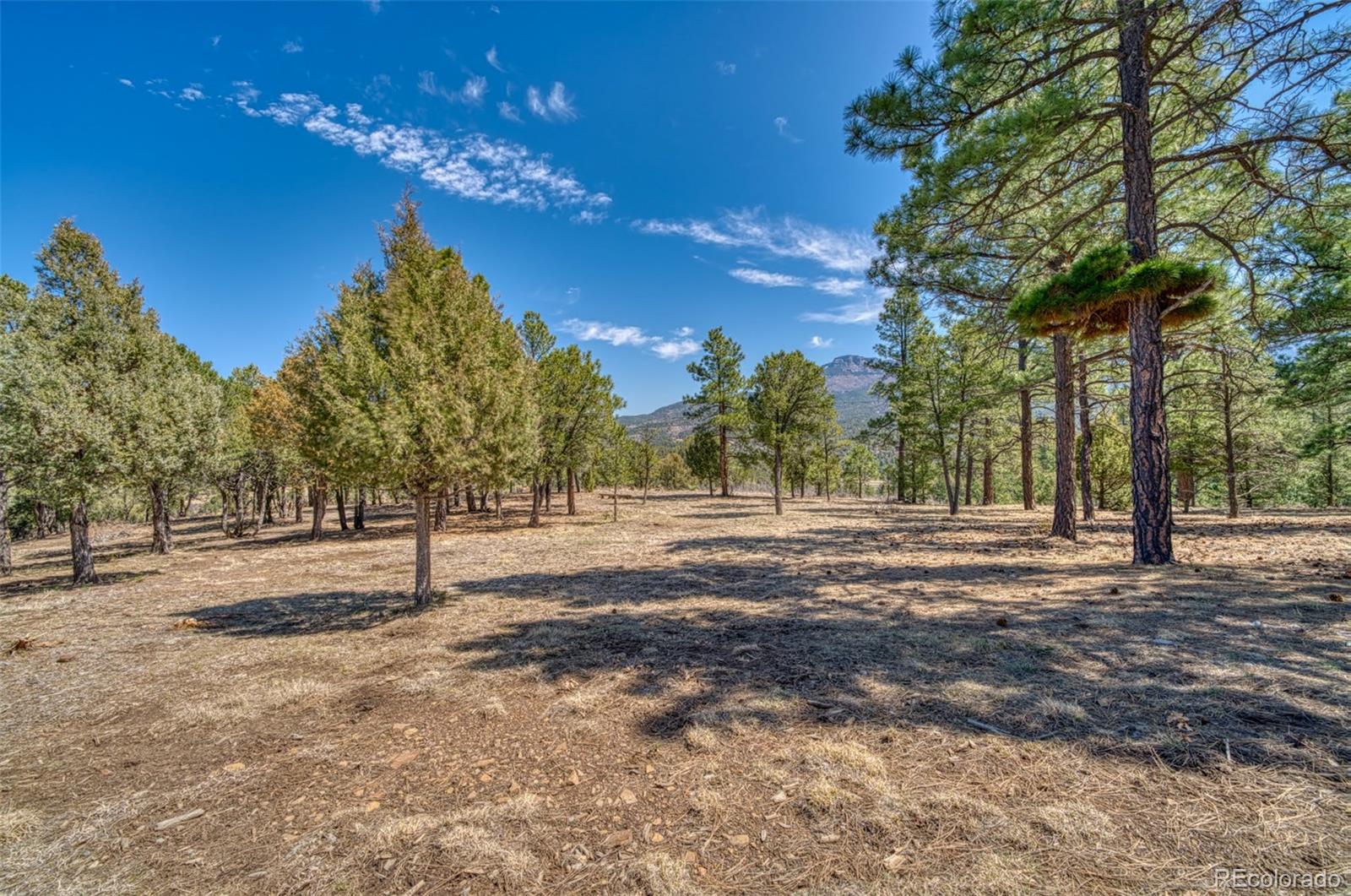 MLS Image #32 for 33031  ponderosa ridge drive,trinidad, Colorado