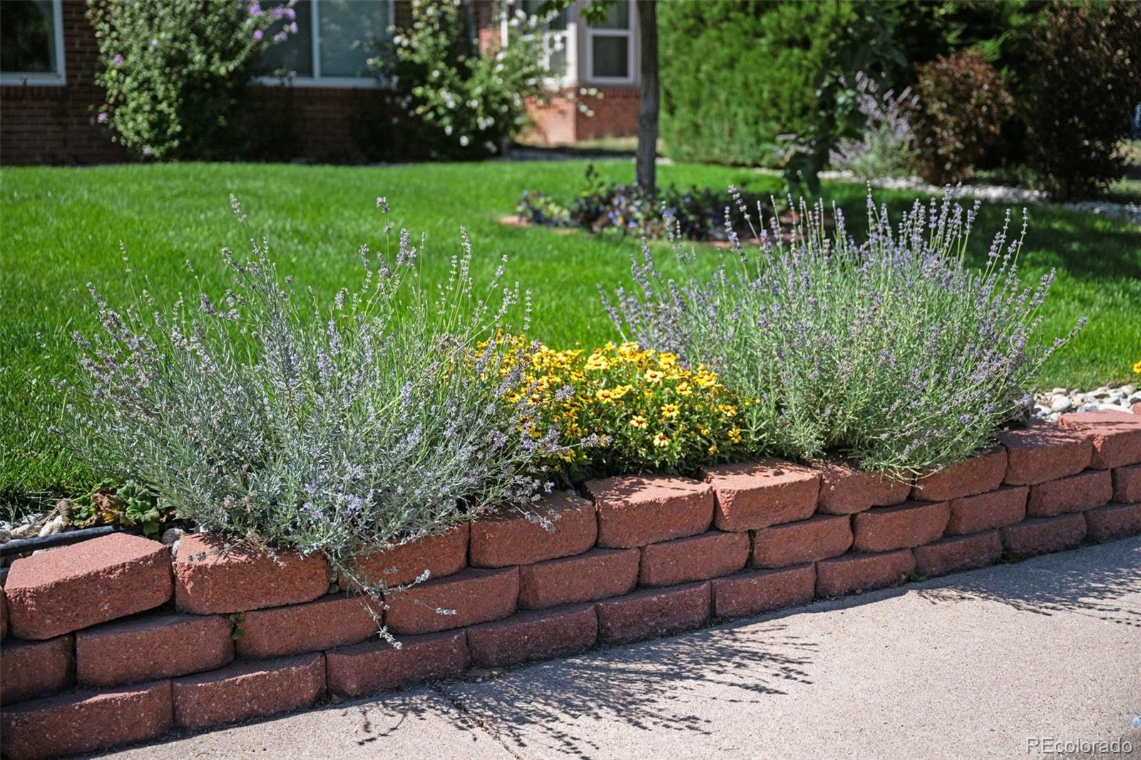 MLS Image #4 for 2649 n cook street,denver, Colorado