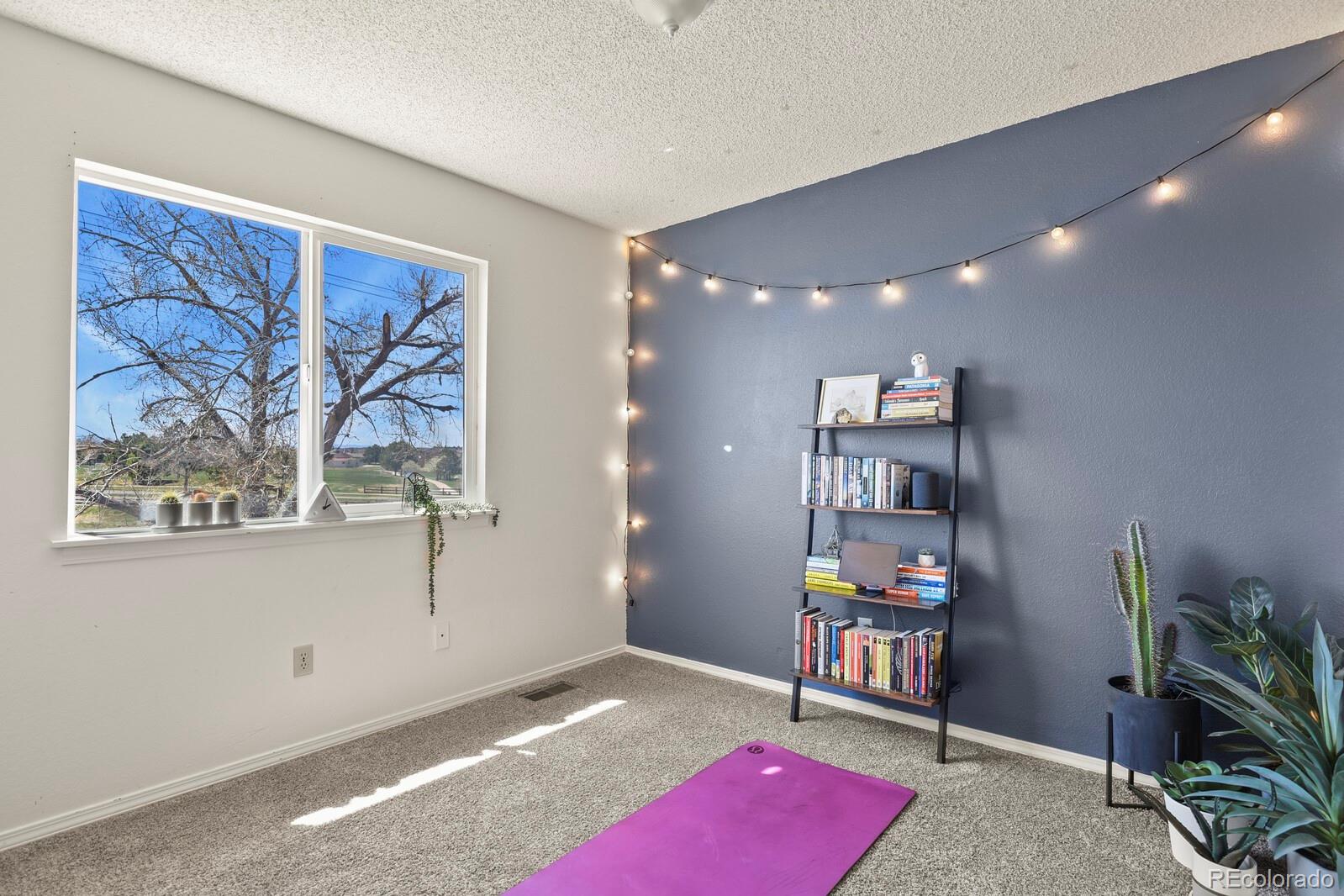 MLS Image #15 for 265 n holcomb street,castle rock, Colorado