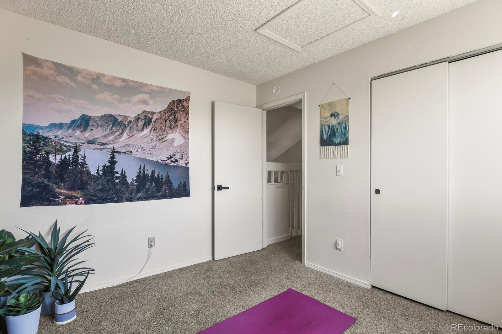 MLS Image #16 for 265 n holcomb street,castle rock, Colorado