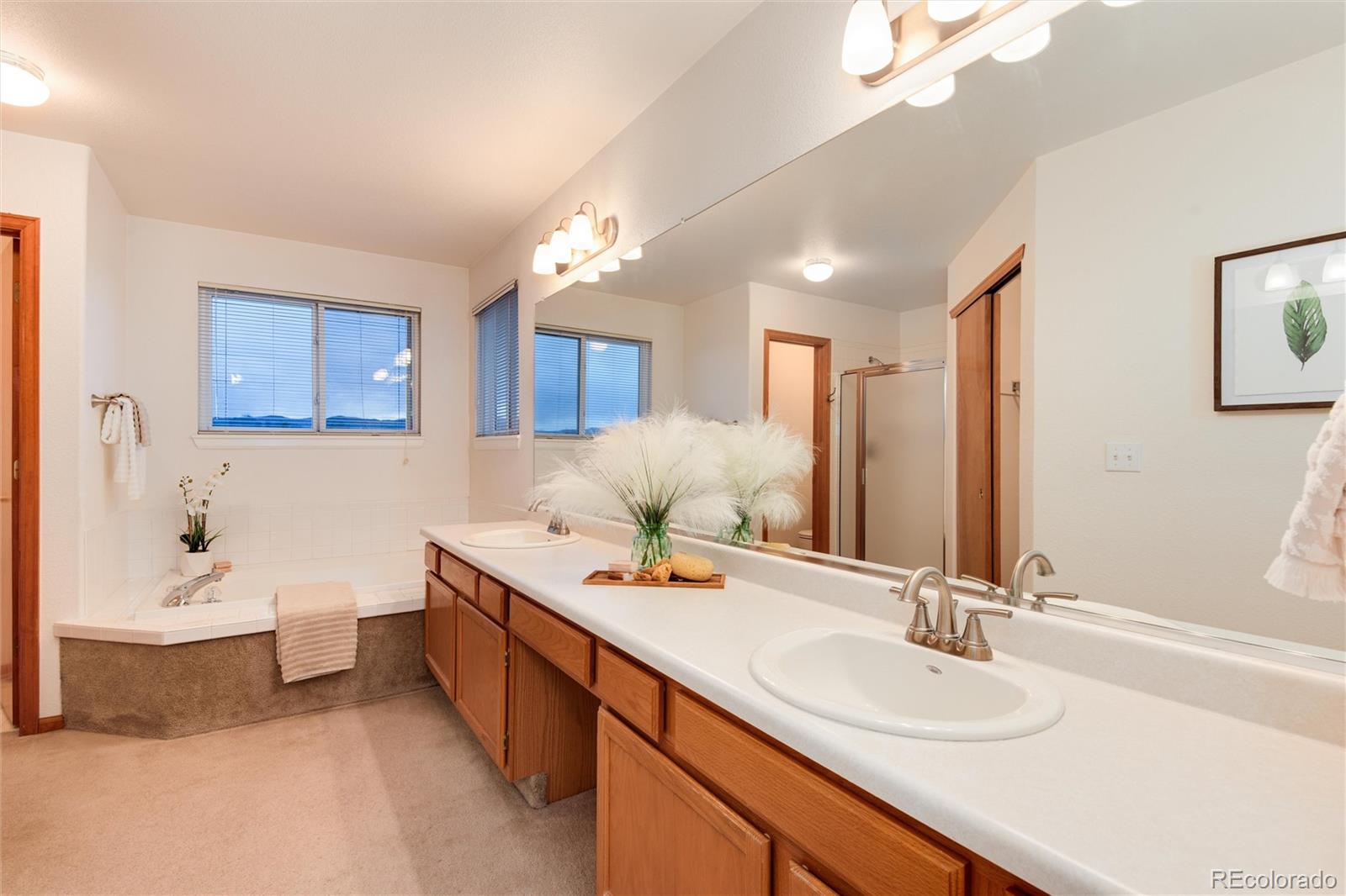 MLS Image #16 for 10233  silver maple circle,highlands ranch, Colorado
