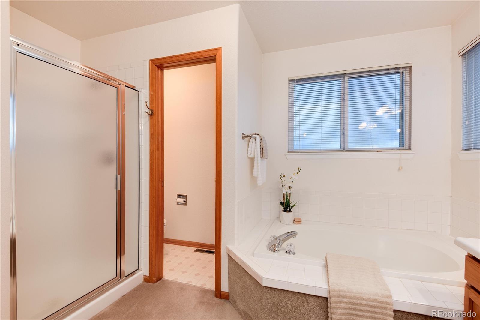 MLS Image #17 for 10233  silver maple circle,highlands ranch, Colorado