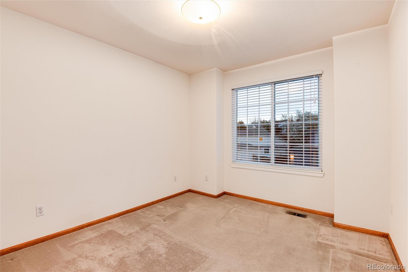 MLS Image #22 for 10233  silver maple circle,highlands ranch, Colorado