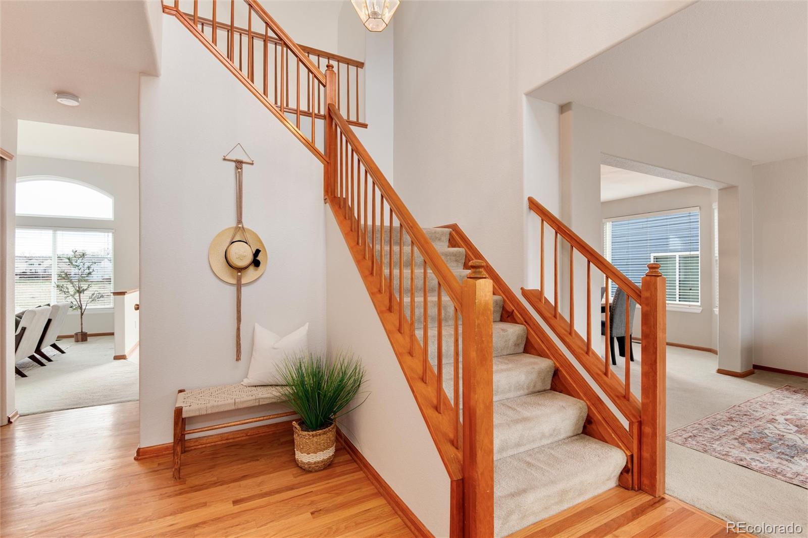 MLS Image #5 for 10233  silver maple circle,highlands ranch, Colorado