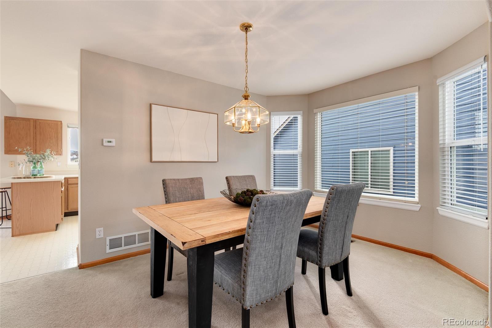 MLS Image #9 for 10233  silver maple circle,highlands ranch, Colorado