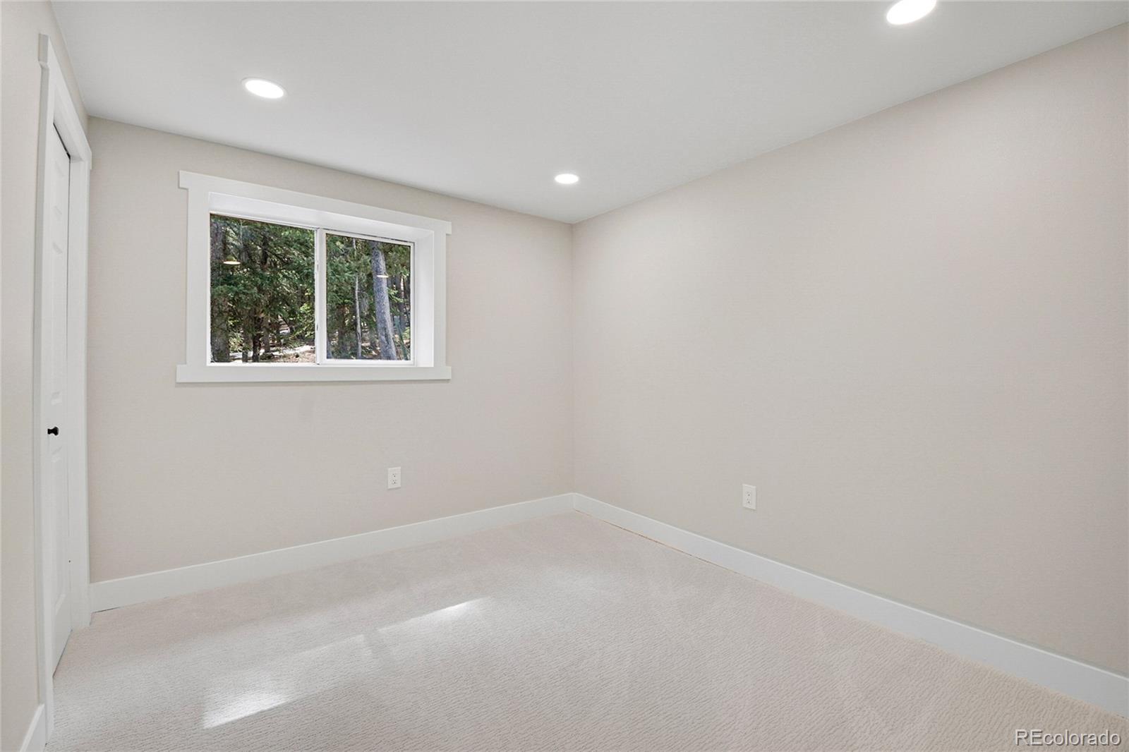 MLS Image #28 for 1189  lodgepole drive,evergreen, Colorado