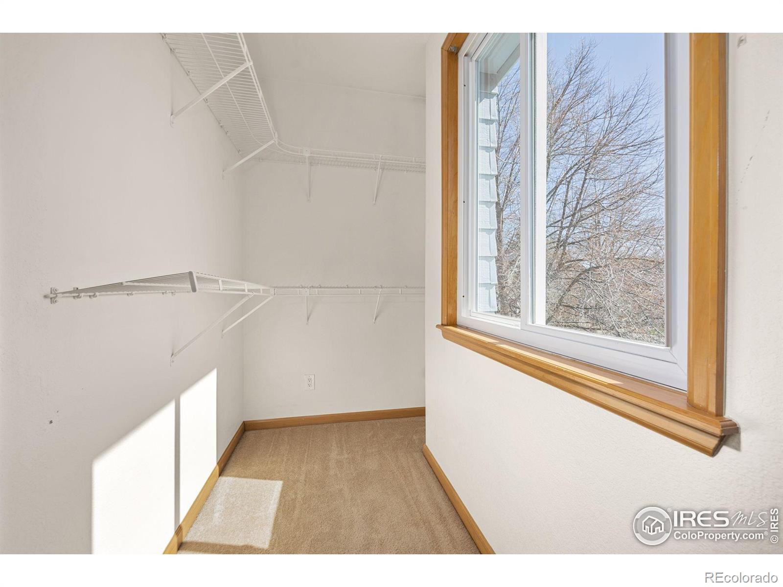 MLS Image #11 for 4575  maple court,boulder, Colorado