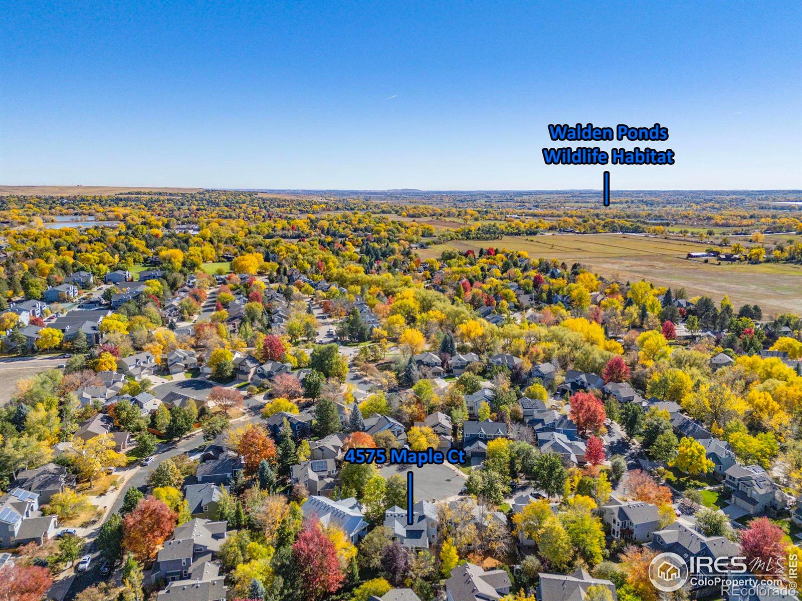 MLS Image #29 for 4575  maple court,boulder, Colorado