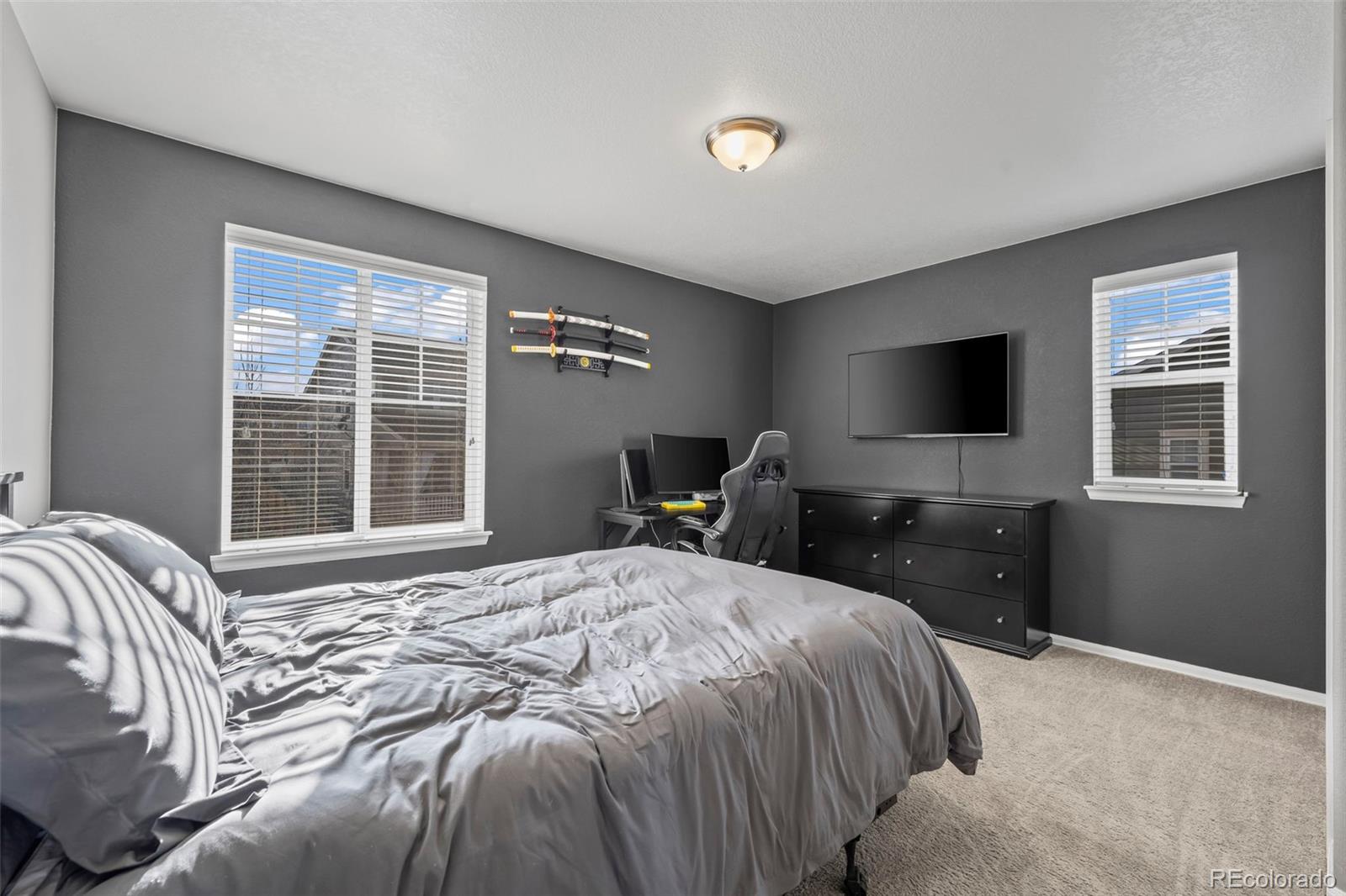 MLS Image #19 for 14275  grape street,thornton, Colorado