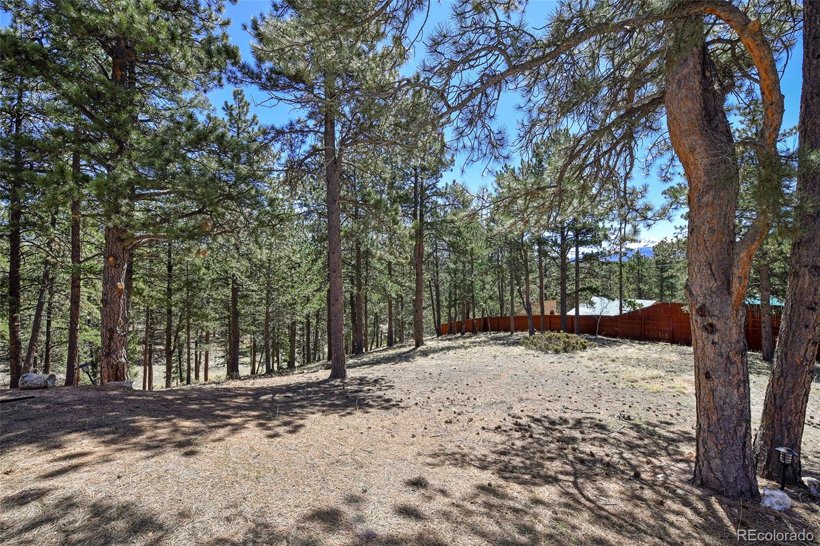 MLS Image #33 for 12  heather circle,divide, Colorado