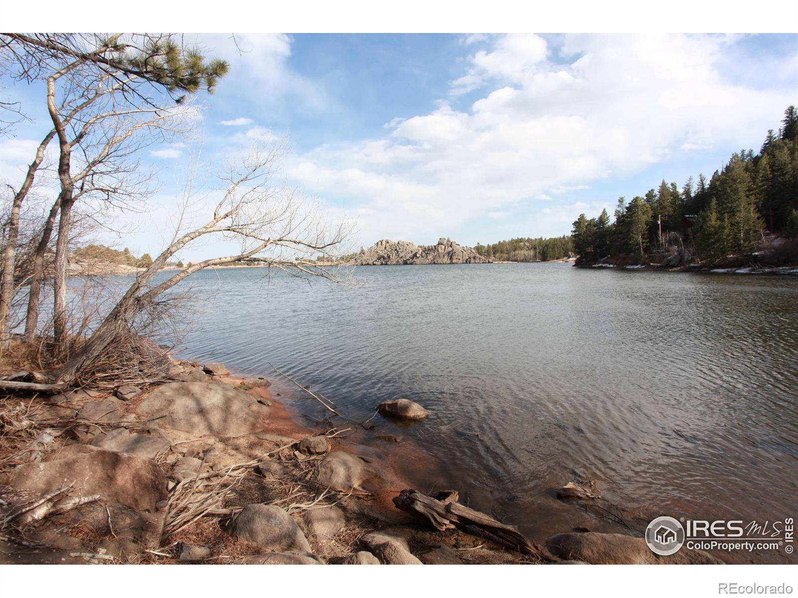 MLS Image #2 for 85  lakeview court,red feather lakes, Colorado