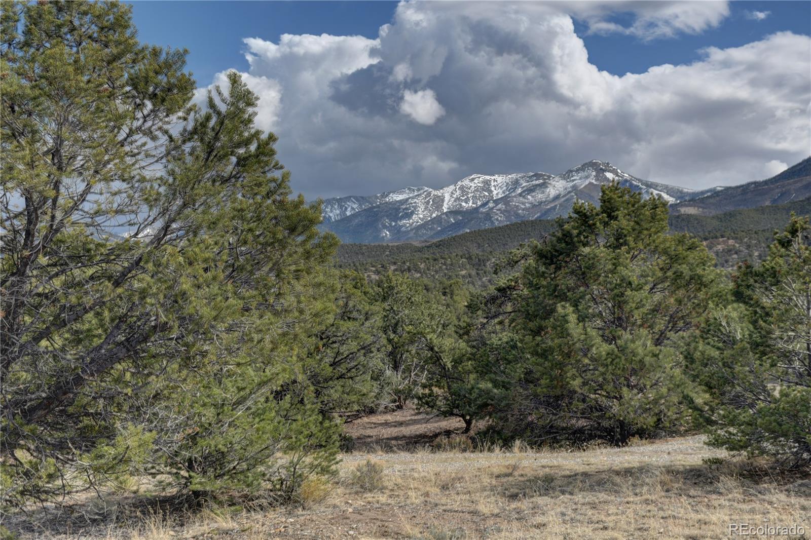 MLS Image #3 for 6399  loggie gulch circle,salida, Colorado
