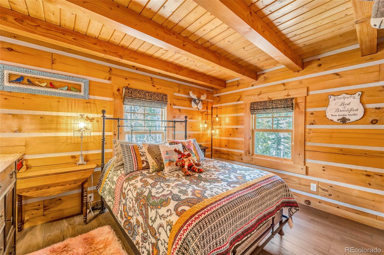 MLS Image #16 for 4112  county road 1 ,alma, Colorado
