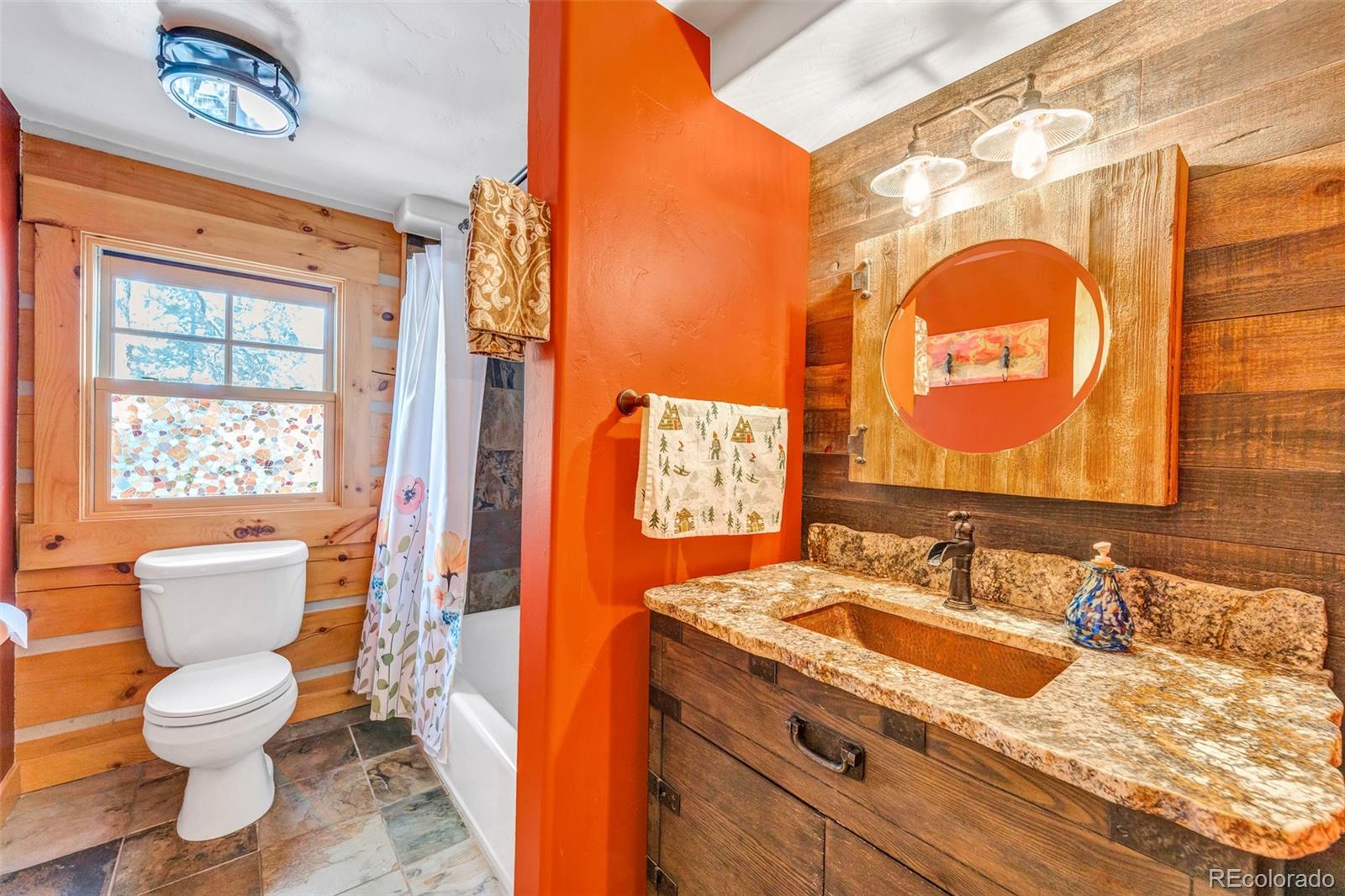 MLS Image #18 for 4112  county road 1 ,alma, Colorado