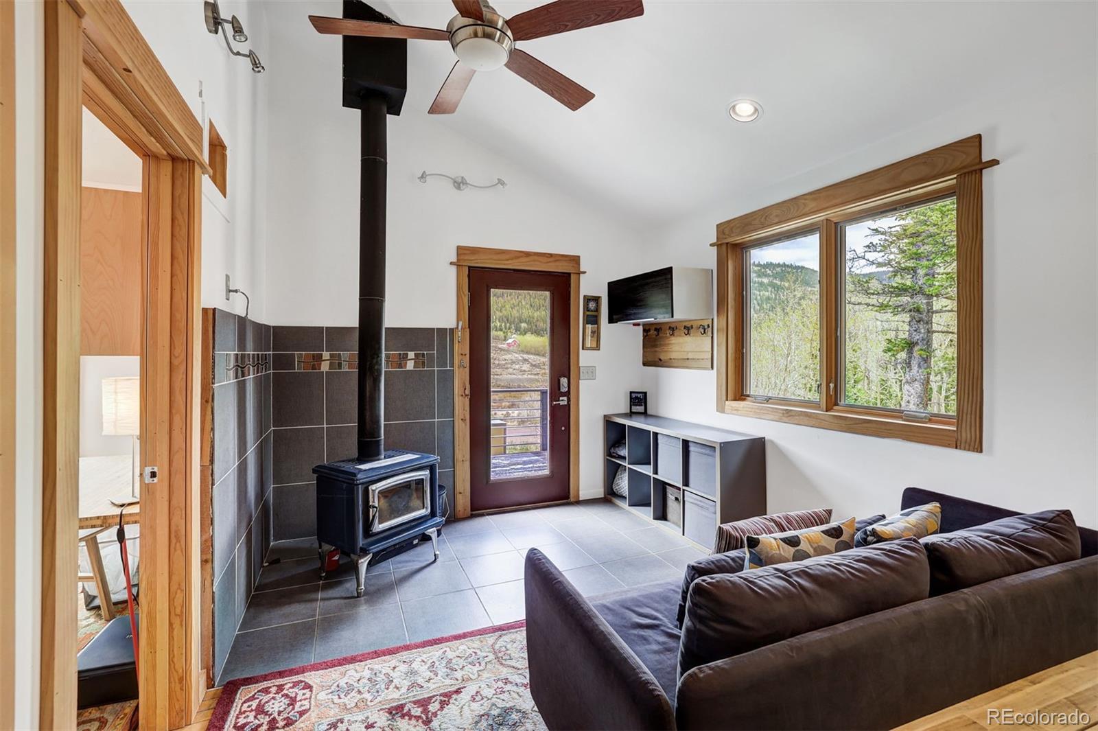 MLS Image #8 for 3049  cr-6 ,alma, Colorado