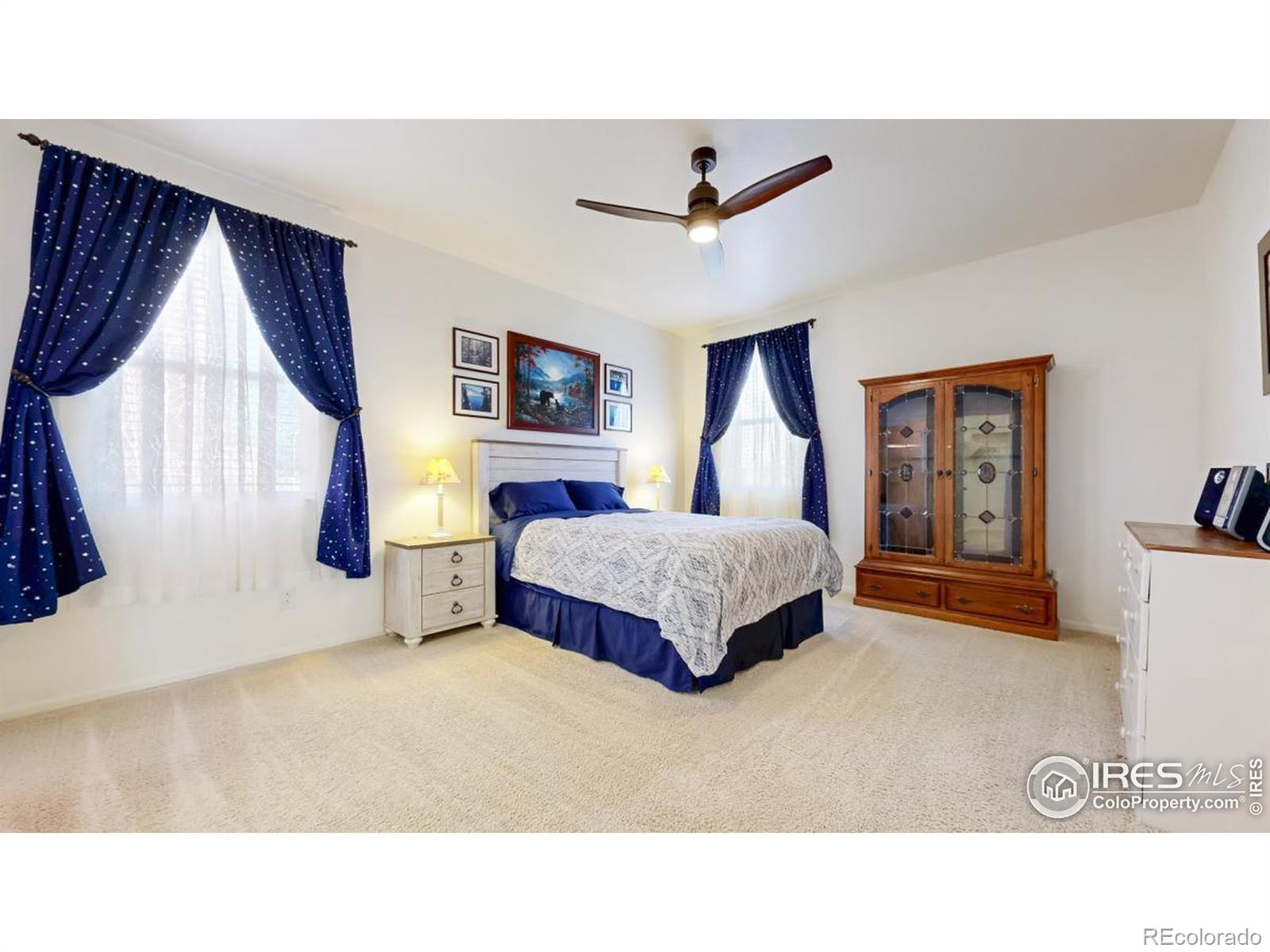 MLS Image #10 for 3712  daylily street,wellington, Colorado