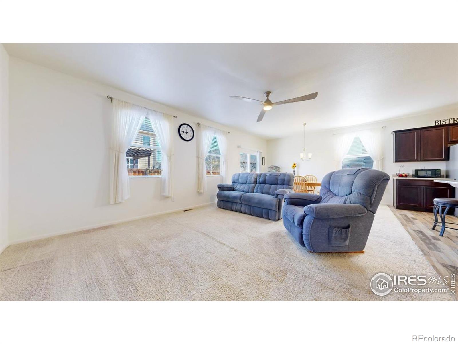 MLS Image #4 for 3712  daylily street,wellington, Colorado