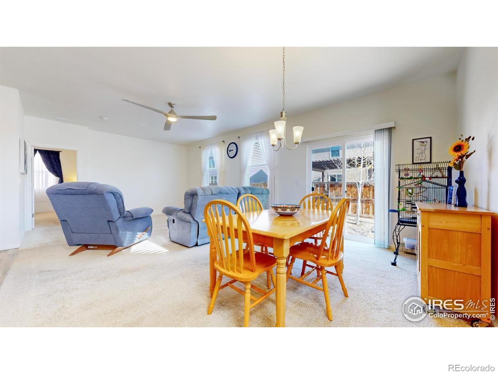 MLS Image #7 for 3712  daylily street,wellington, Colorado