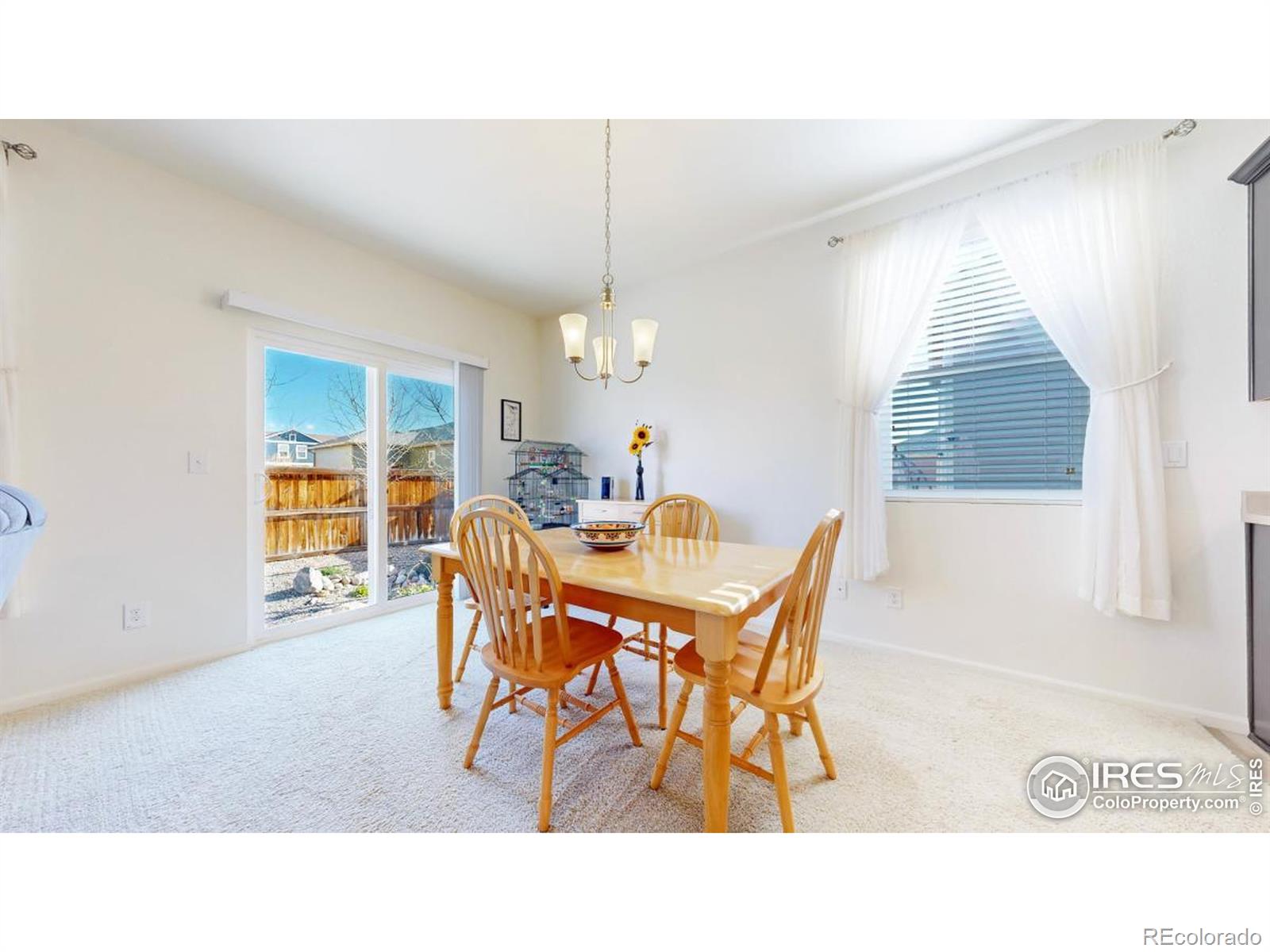 MLS Image #9 for 3712  daylily street,wellington, Colorado