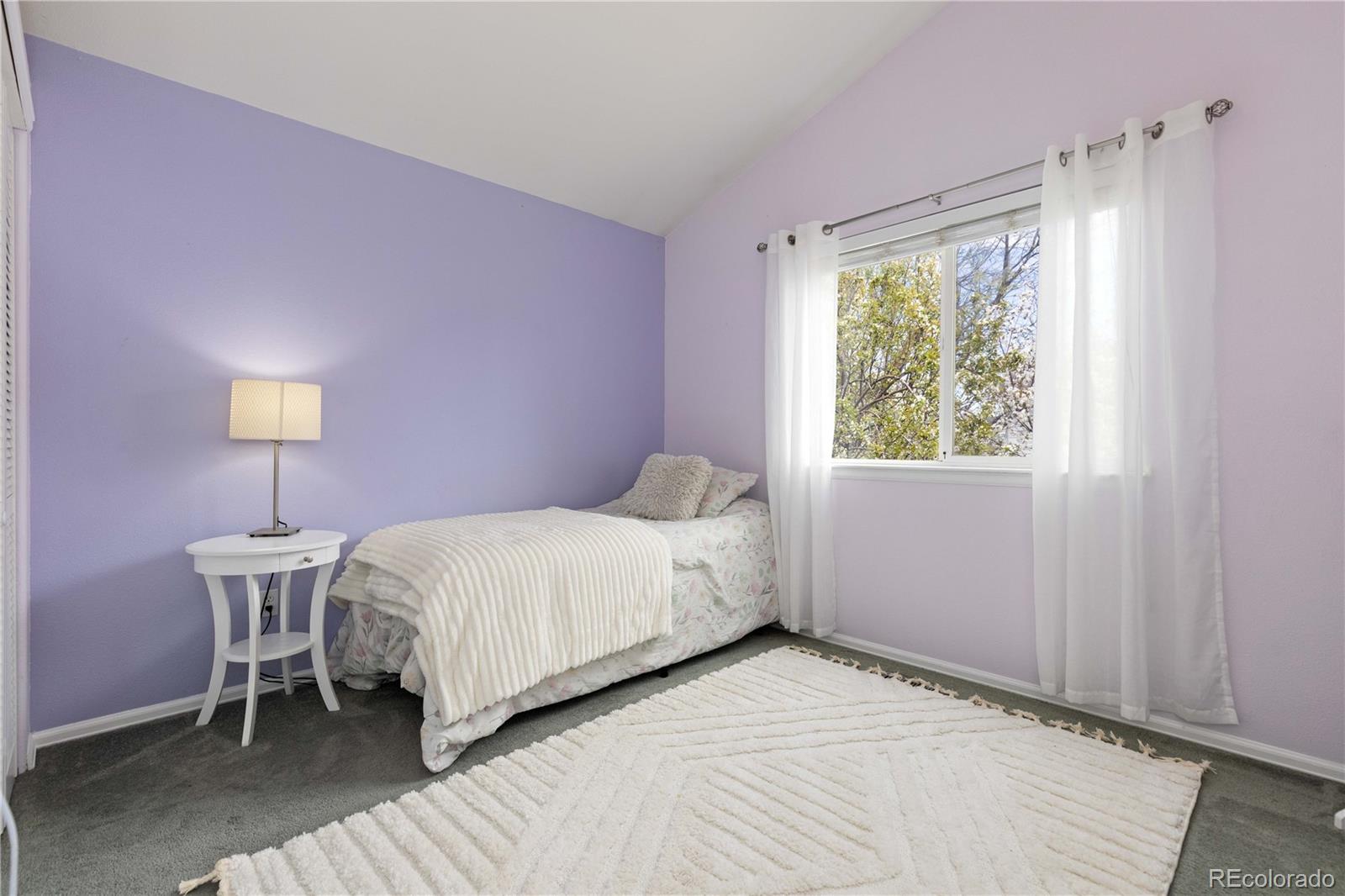 MLS Image #17 for 12742  vrain street,broomfield, Colorado