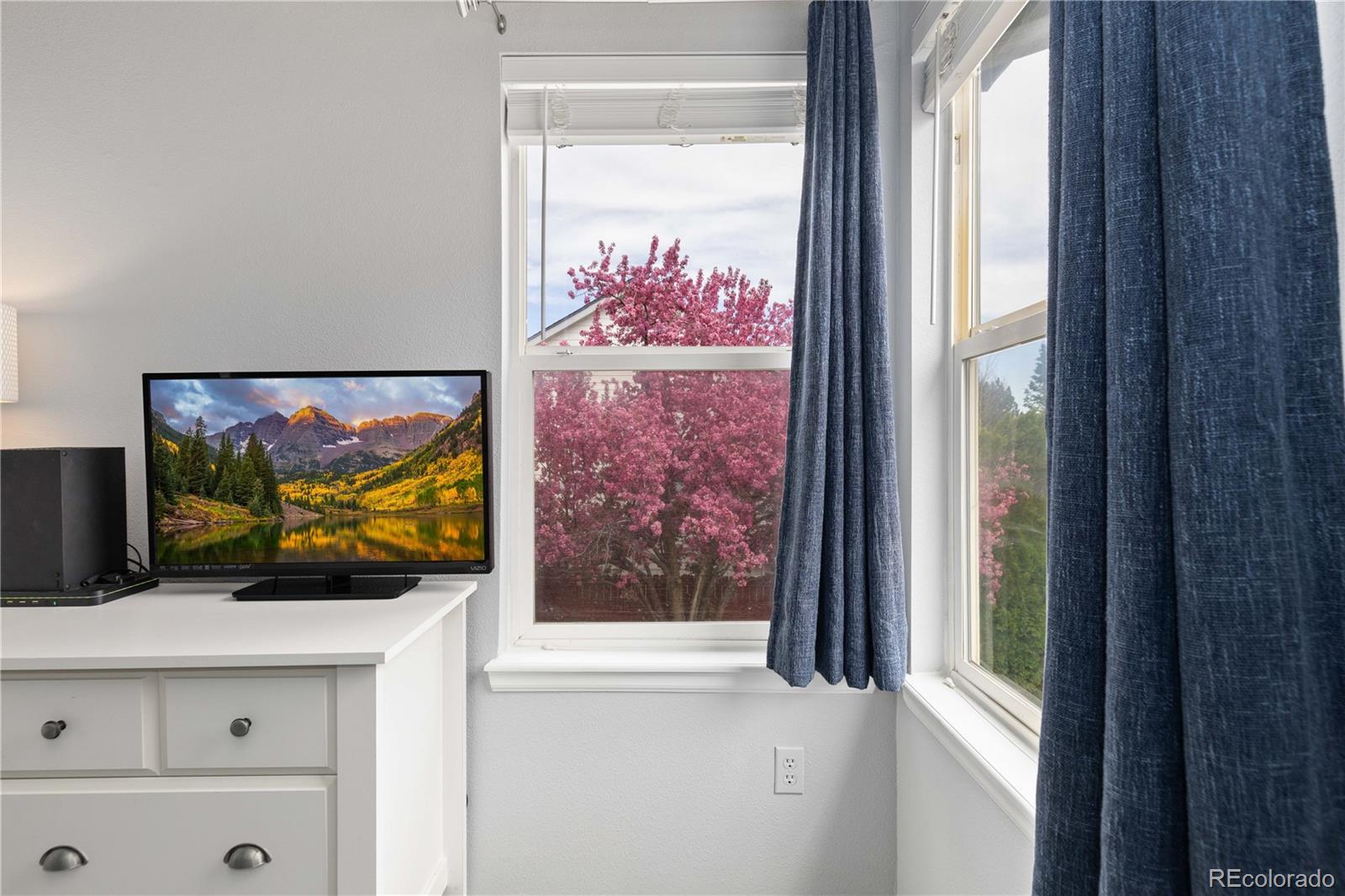 MLS Image #20 for 12742  vrain street,broomfield, Colorado