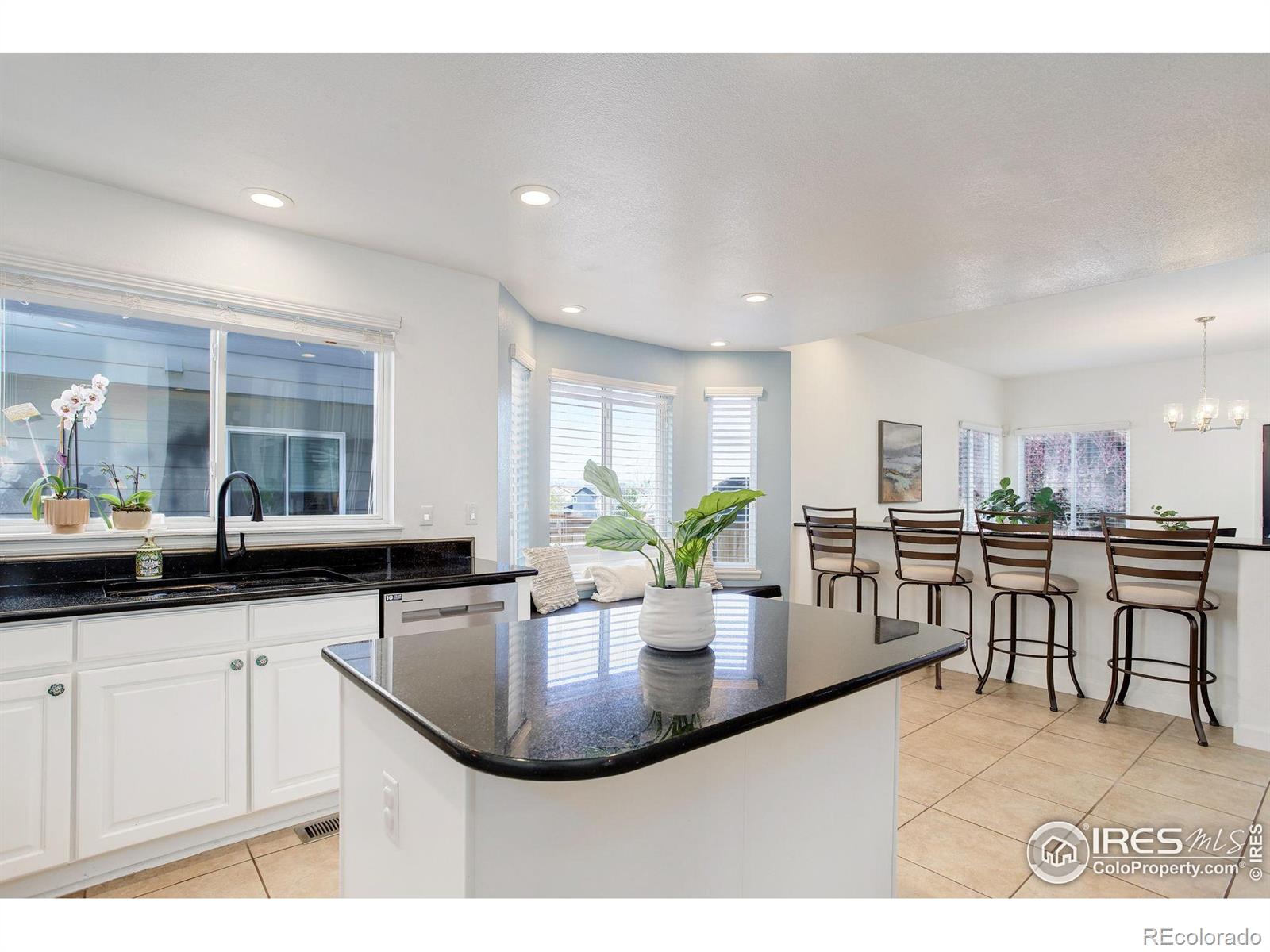 MLS Image #8 for 10081  blackbird circle,highlands ranch, Colorado