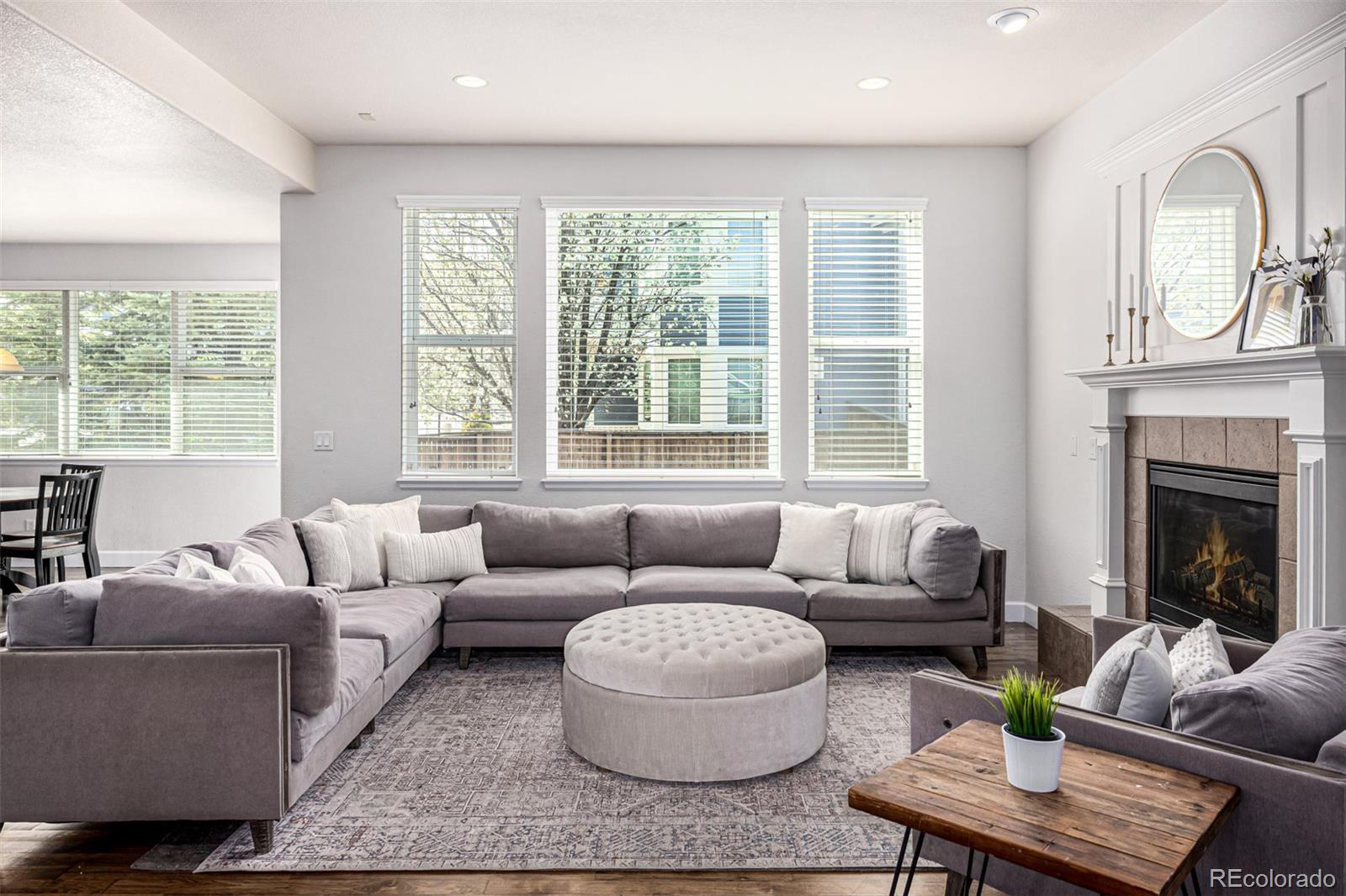 MLS Image #15 for 9518  shenstone drive,parker, Colorado