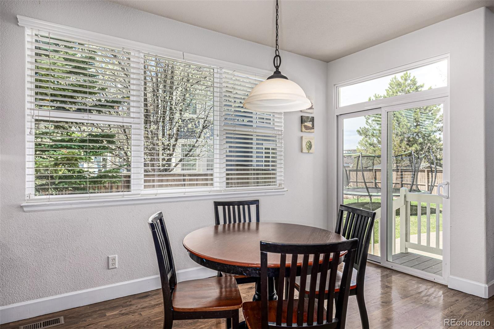 MLS Image #24 for 9518  shenstone drive,parker, Colorado