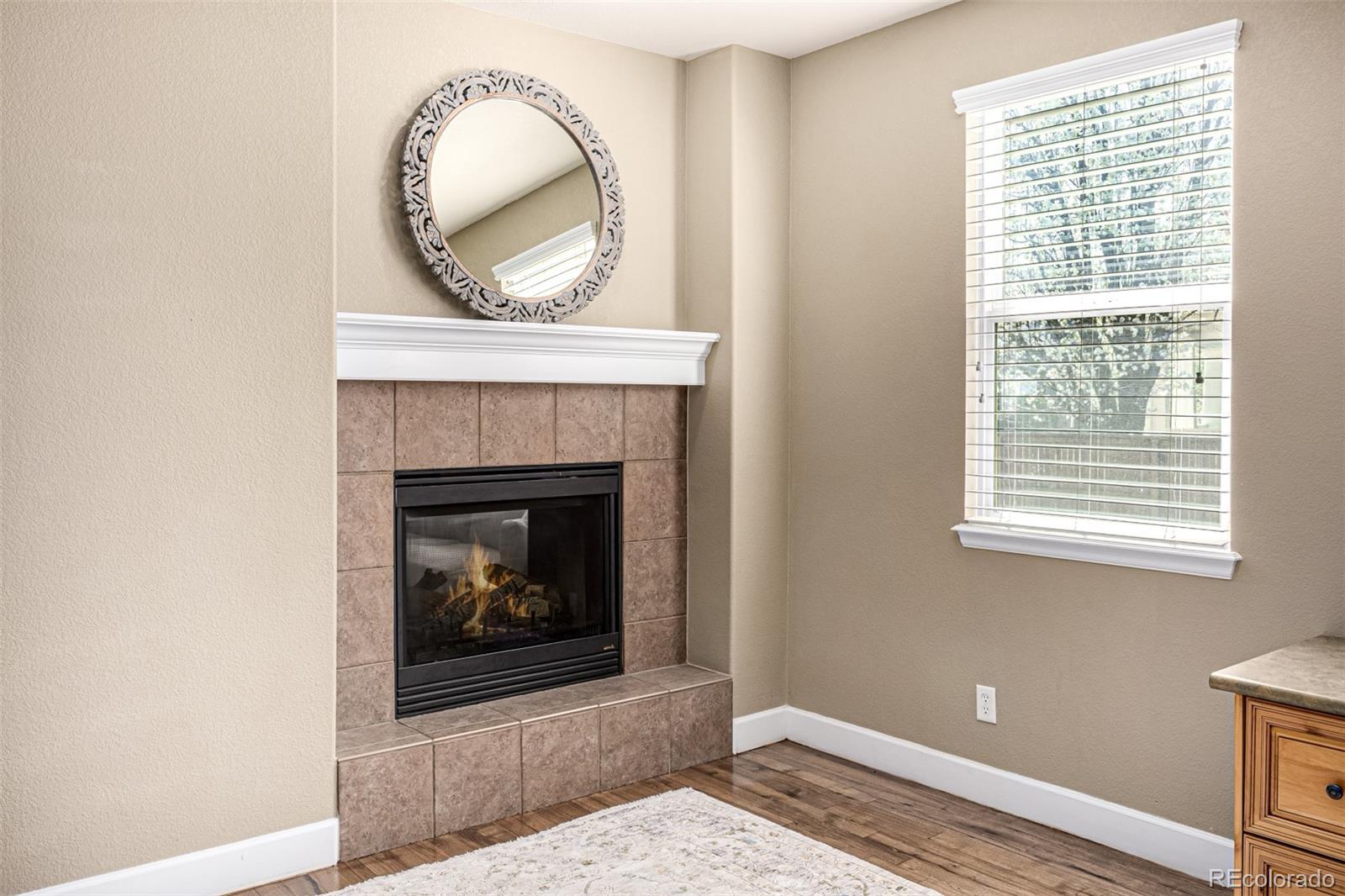 MLS Image #26 for 9518  shenstone drive,parker, Colorado