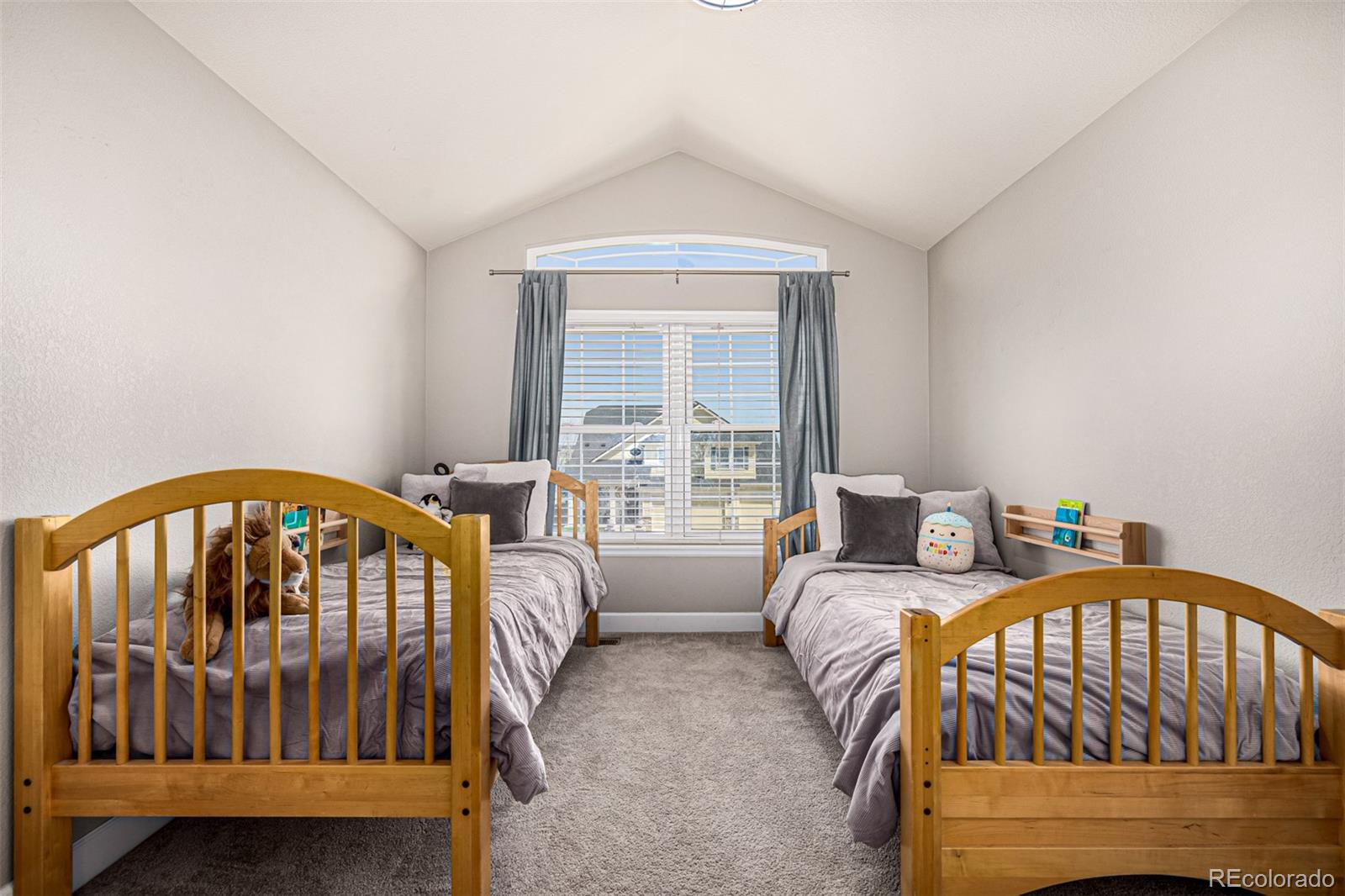 MLS Image #42 for 9518  shenstone drive,parker, Colorado