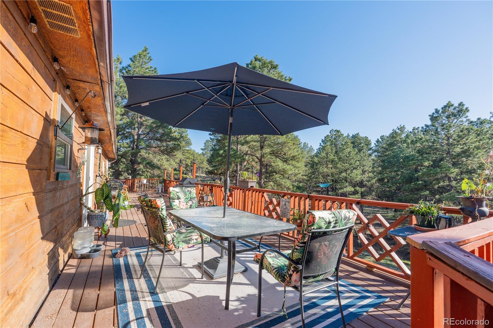 MLS Image #15 for 24345  emerald trail,deer trail, Colorado