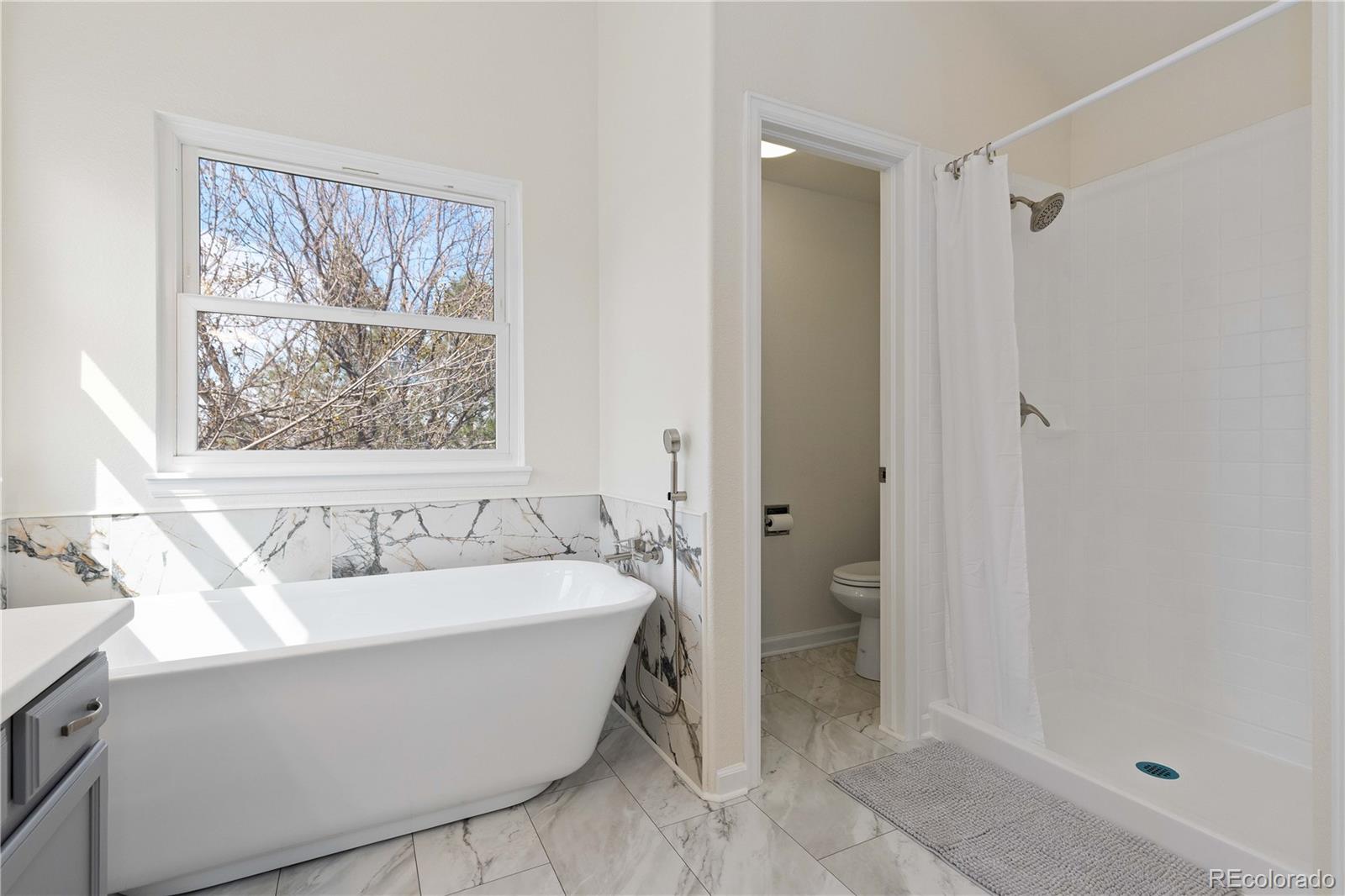 MLS Image #22 for 10789 w vista view drive,littleton, Colorado
