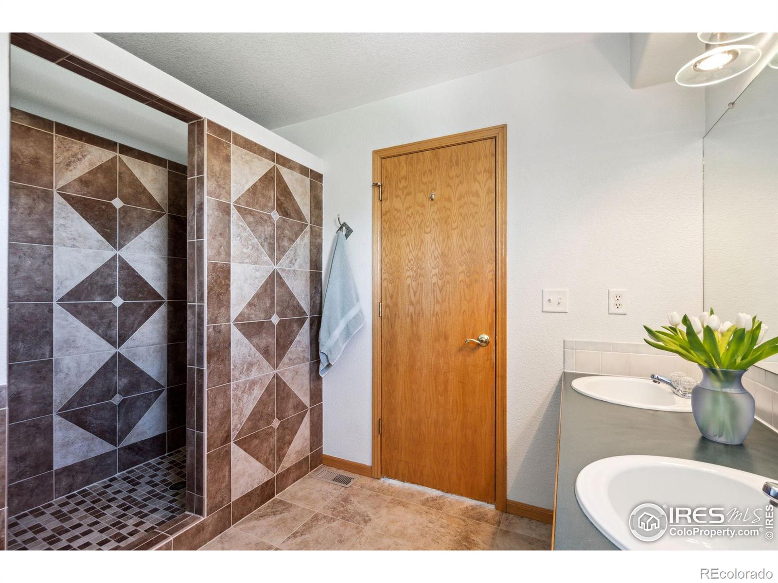 MLS Image #20 for 3184  ivy drive,loveland, Colorado