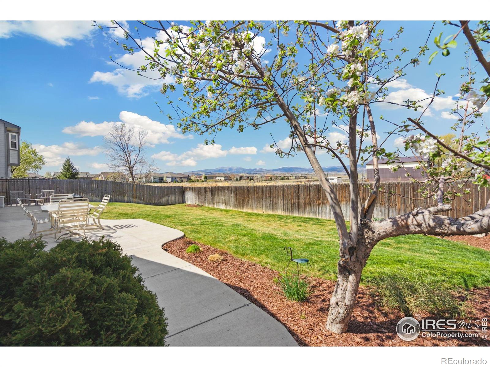 MLS Image #36 for 3184  ivy drive,loveland, Colorado