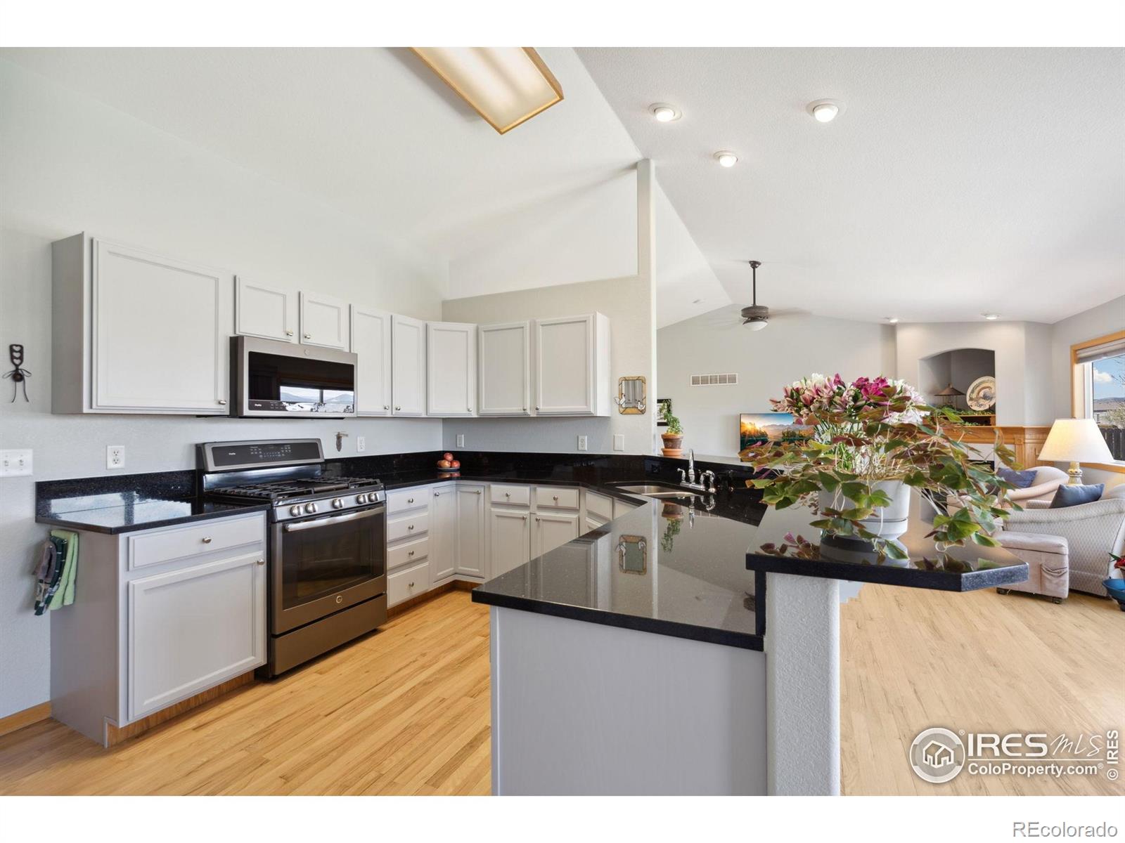 MLS Image #9 for 3184  ivy drive,loveland, Colorado