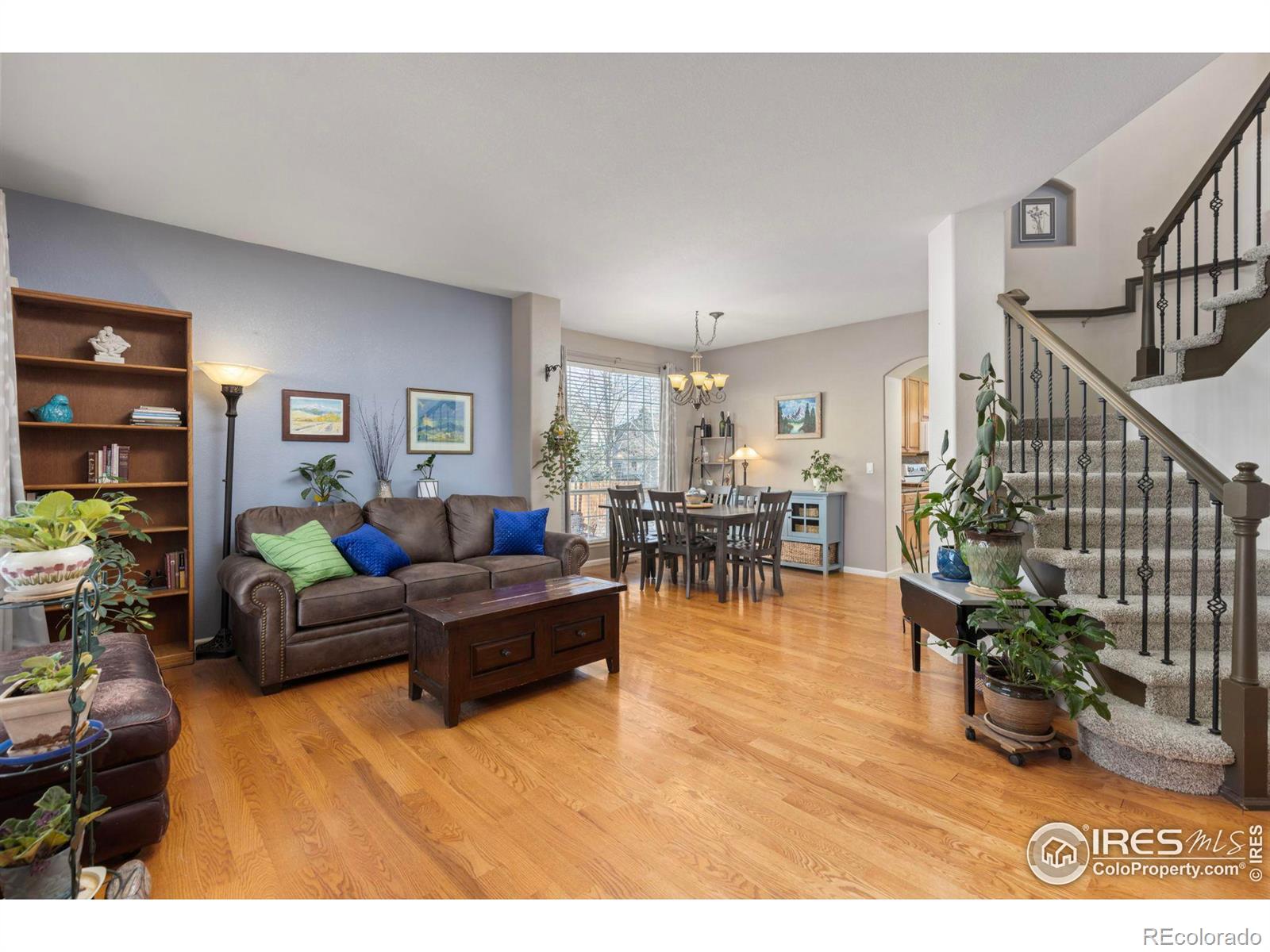 MLS Image #4 for 1579  hays court,erie, Colorado