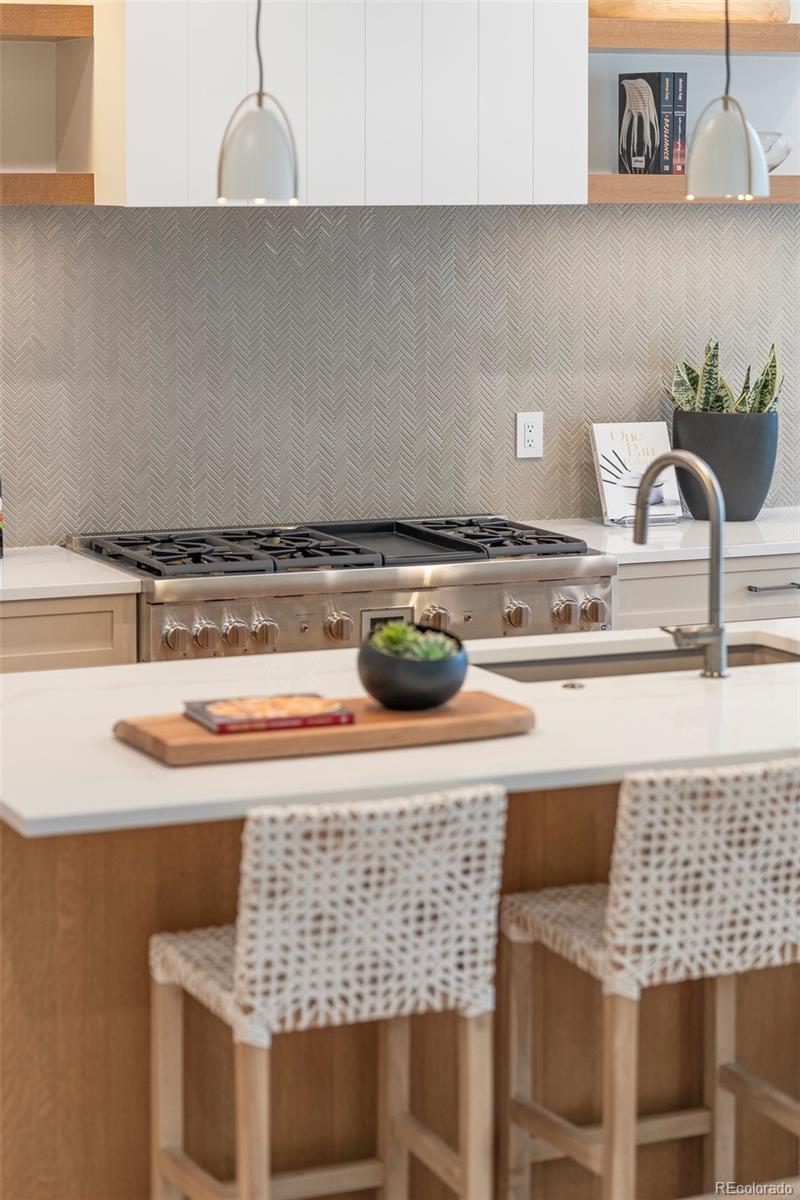 MLS Image #14 for 716 s race street,denver, Colorado
