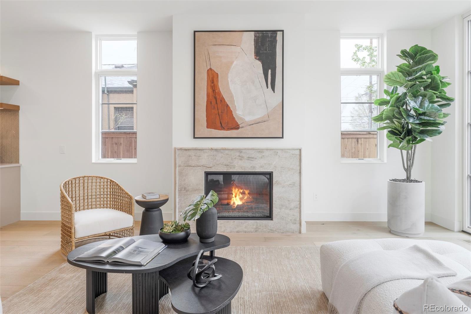 MLS Image #18 for 716 s race street,denver, Colorado