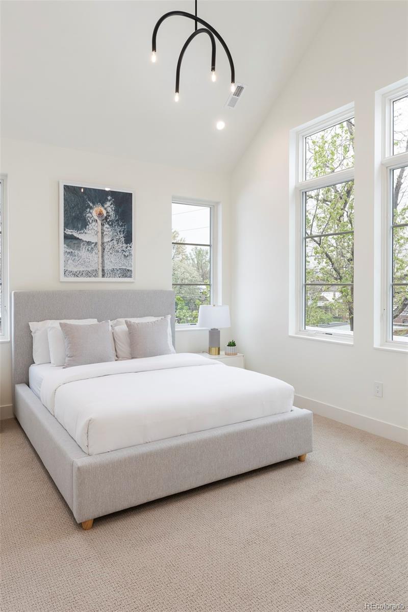 MLS Image #33 for 716 s race street,denver, Colorado