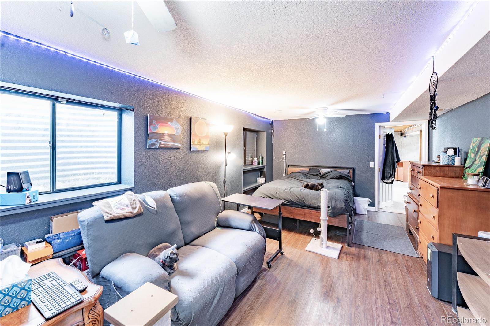 MLS Image #10 for 538  blossom field road,fountain, Colorado
