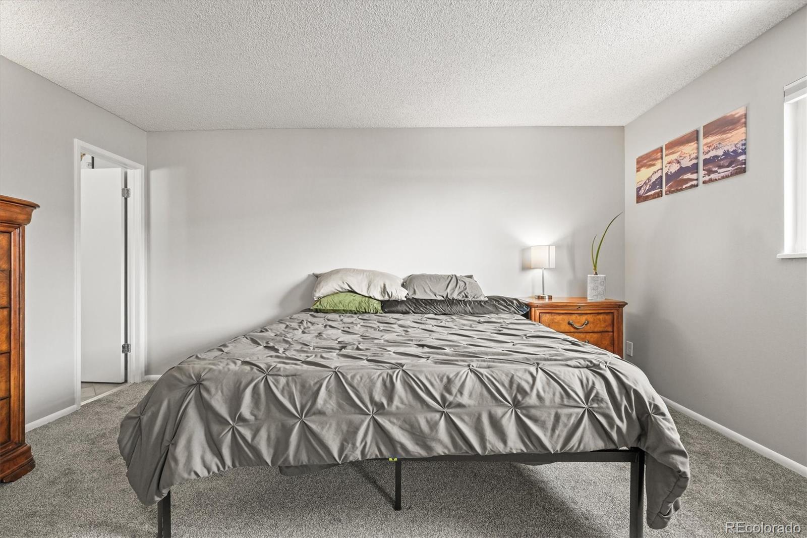 MLS Image #16 for 770 s youngfield ,lakewood, Colorado